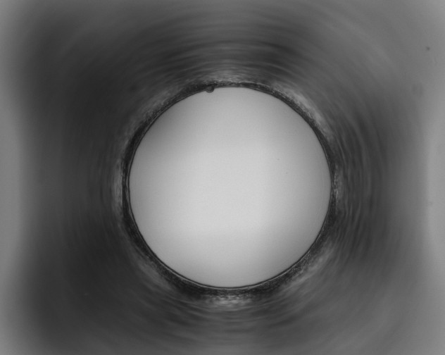 X0000093490445200710121016