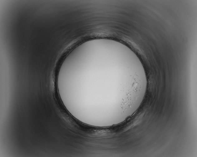 X0000093490446200710121016