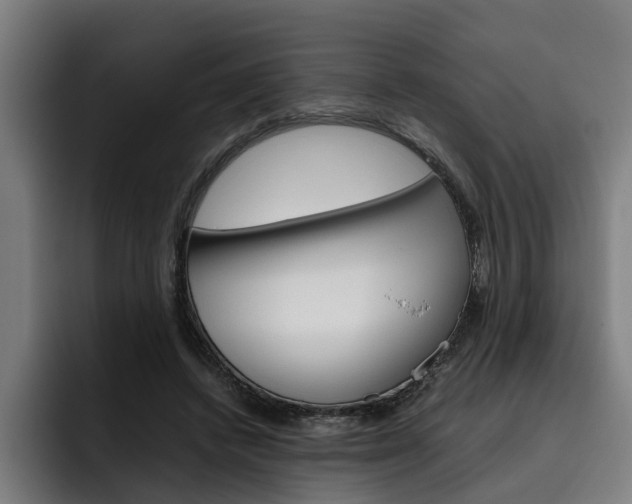 X0000093490448200710121016