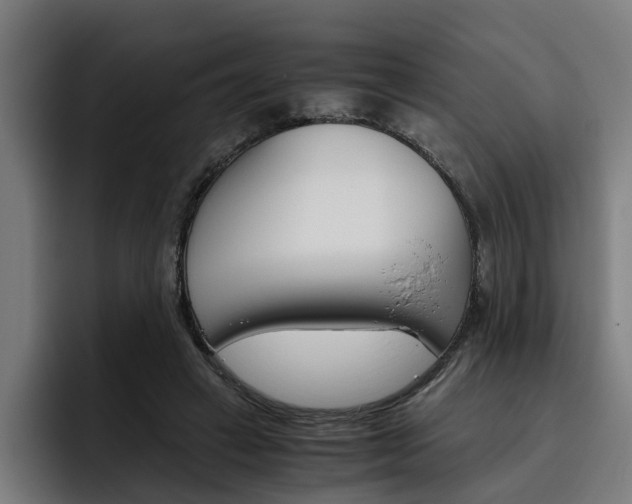 X0000093490449200710121016