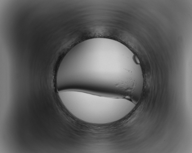 X0000093490450200710121016