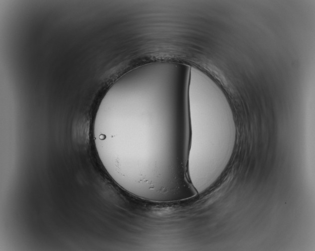 X0000093490454200710121016
