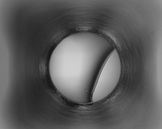 X0000093490455200710121016