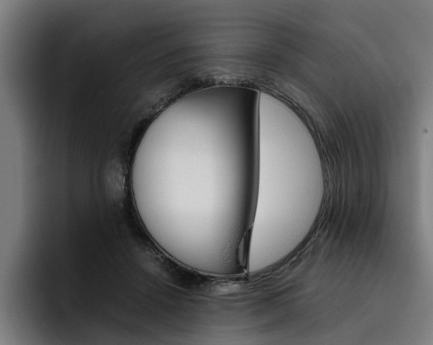X0000093490456200710121016