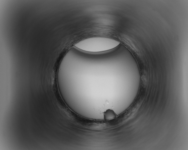 X0000093490458200710121016