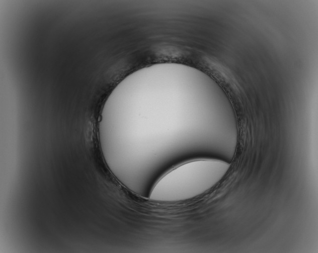 X0000093490463200710121016