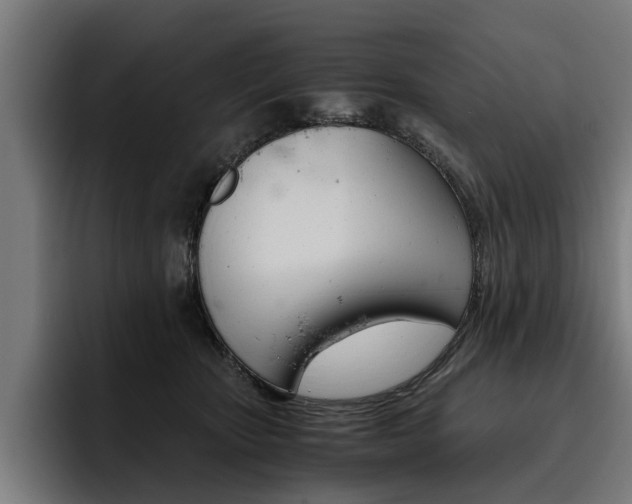 X0000093490467200710121016