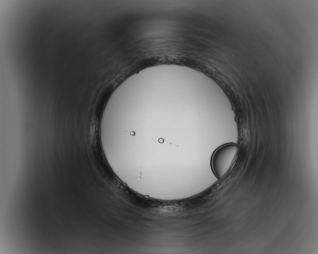 X0000093490468200710121016