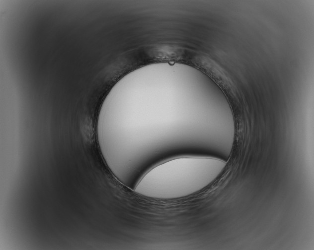 X0000093490469200710121016