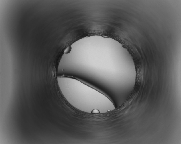 X0000093490474200710121016