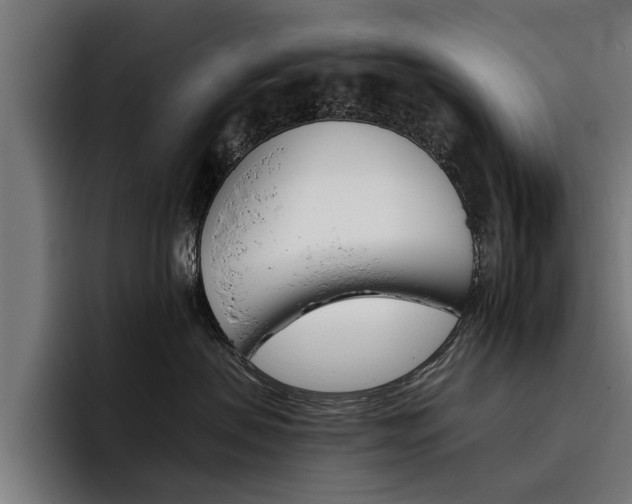 X0000093490479200710121016