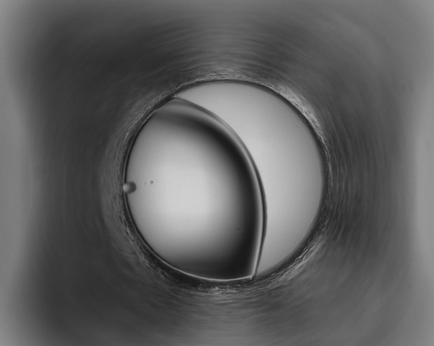 X0000093490481200710121015
