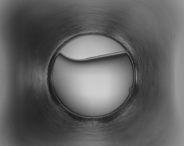 X0000093490483200710121015