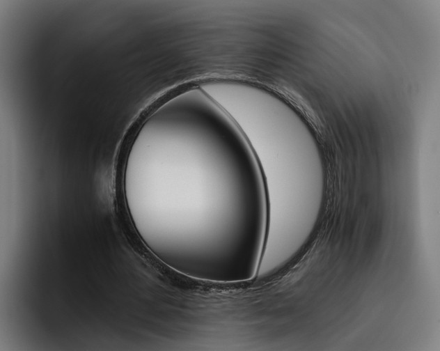 X0000093490484200710121015