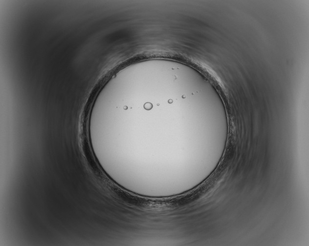 X0000093490487200710121015