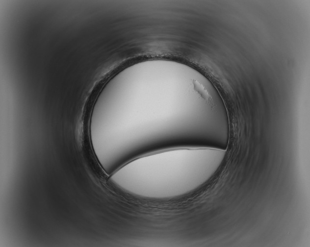 X0000093490488200710121015