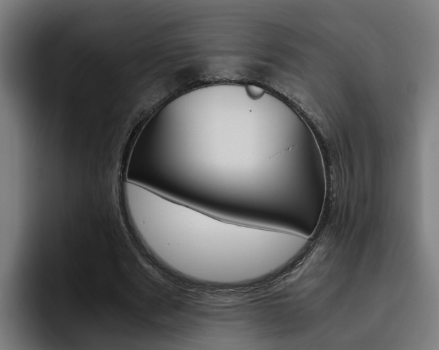X0000093490489200710121015