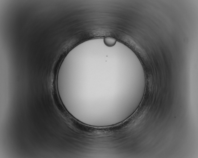 X0000093490490200710121015