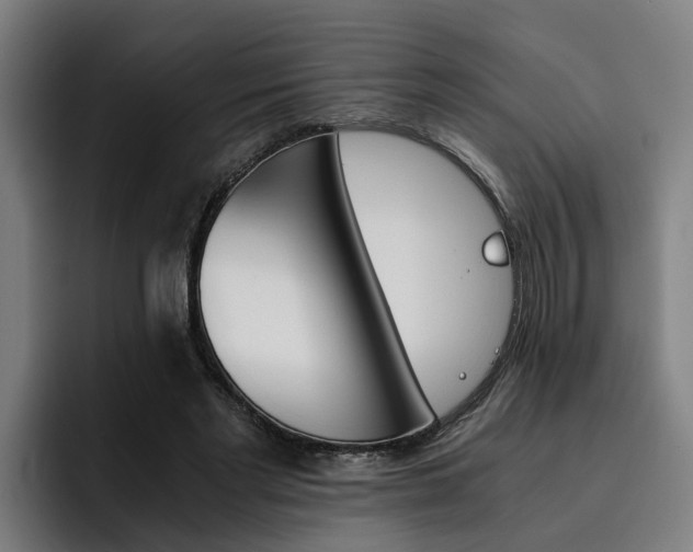 X0000093490493200710121015