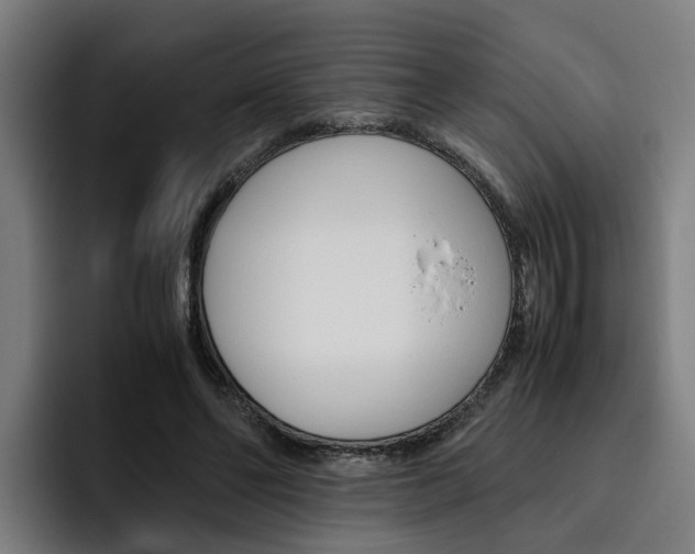 X0000093490494200710121015