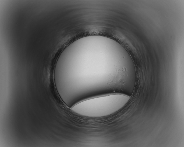 X0000093490496200710121015