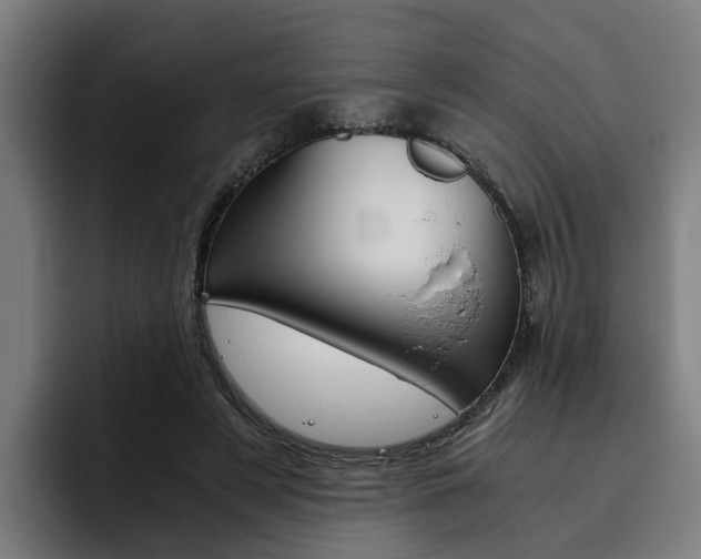 X0000093490497200710121015