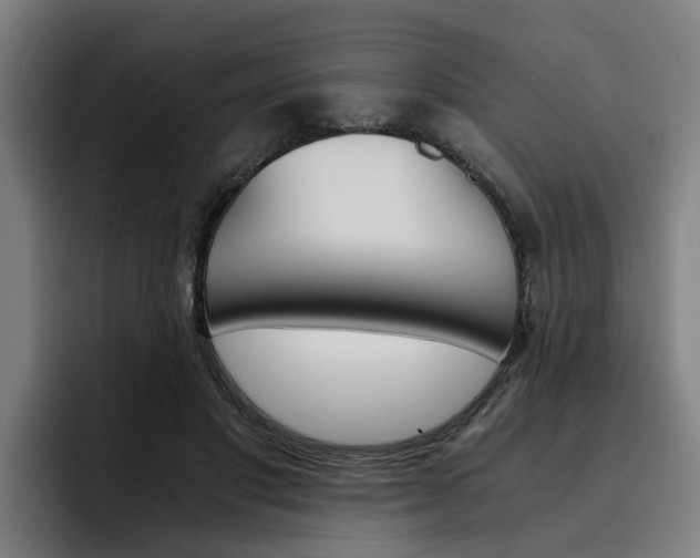 X0000093490501200710121015