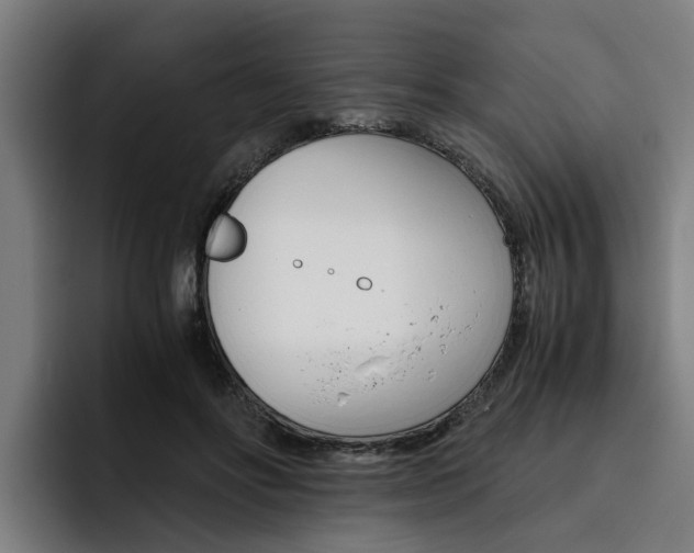 X0000093490502200710121015