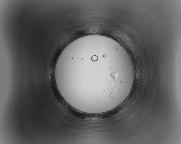 X0000093490503200710121015