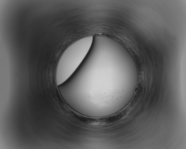 X0000093490504200710121015