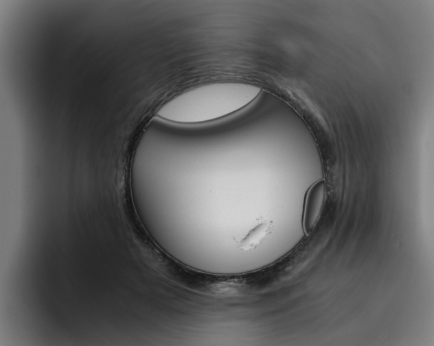 X0000093490505200710121015