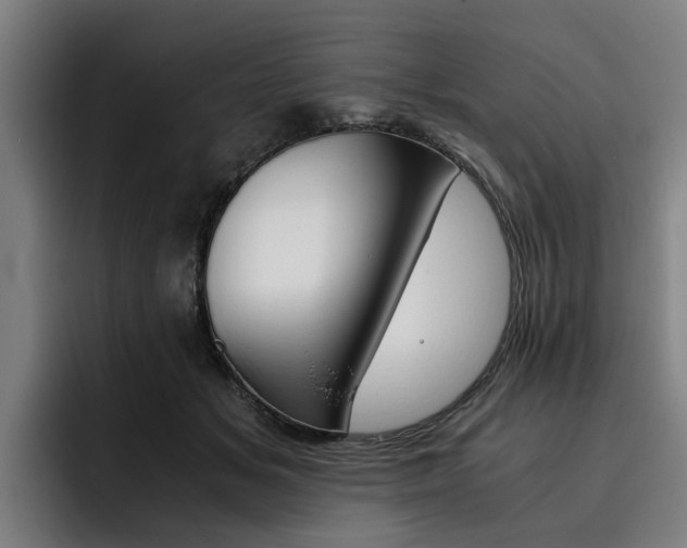 X0000093490509200710121015