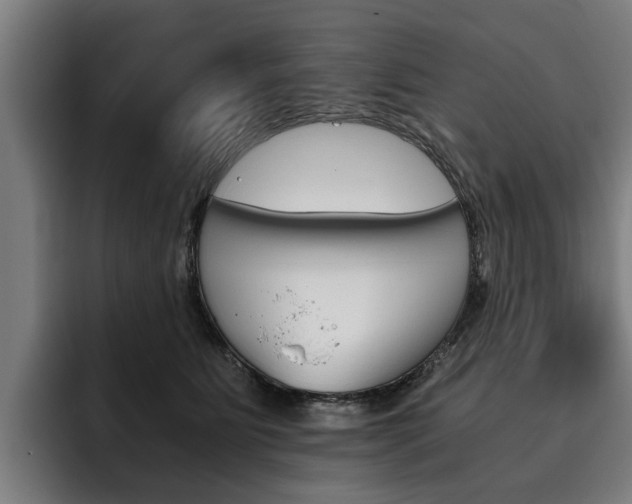 X0000093490515200710121015