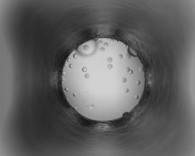 X0000093490519200710121015