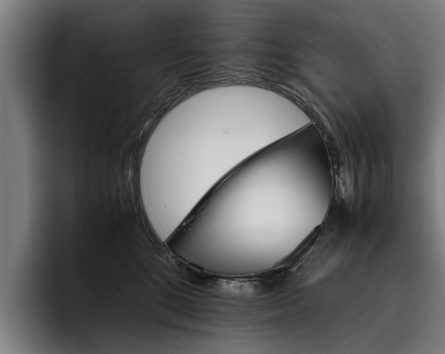 X0000093490520200710121015