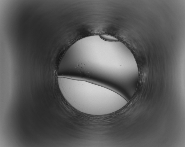 X0000093490521200710121015