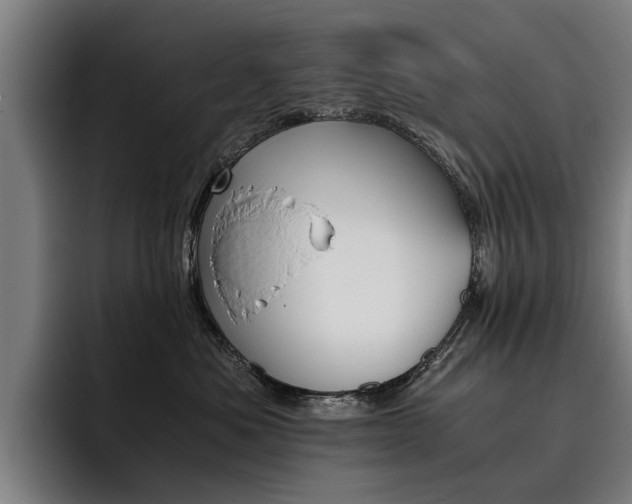 X0000093490525200710121015