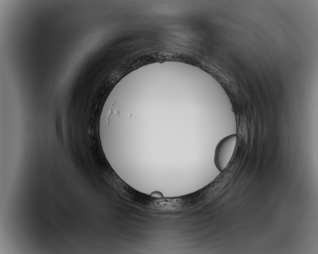 X0000093490526200710121015