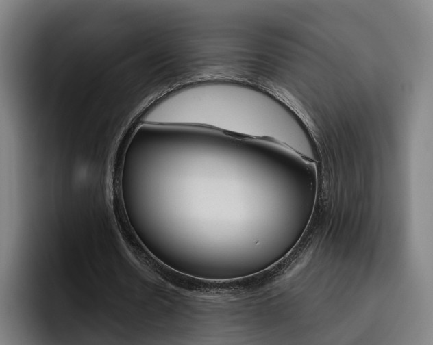 X0000093490530200710121014