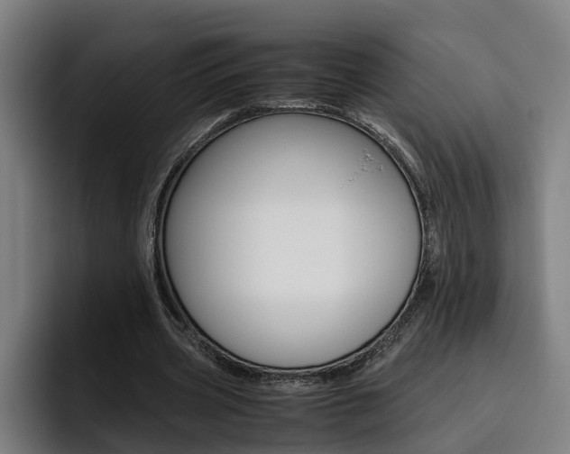 X0000093490533200710121014