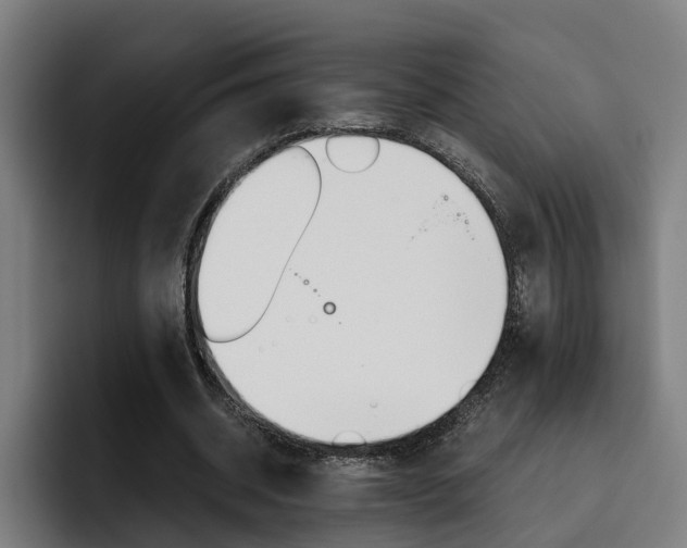 X0000093490534200710121014