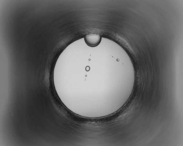X0000093490538200710121014
