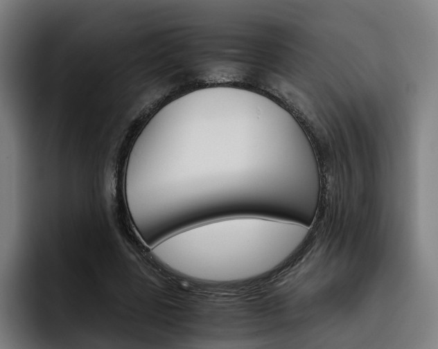 X0000093490539200710121014