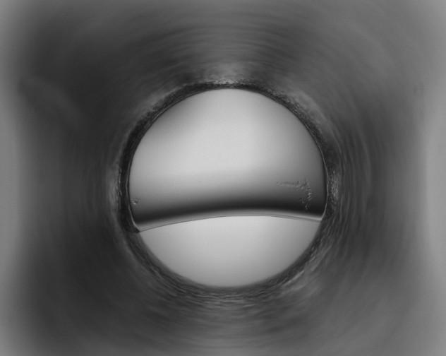 X0000093490540200710121014