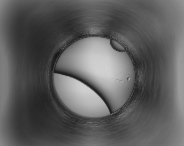 X0000093490542200710121014