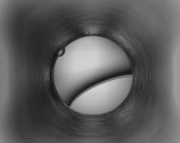 X0000093490543200710121014