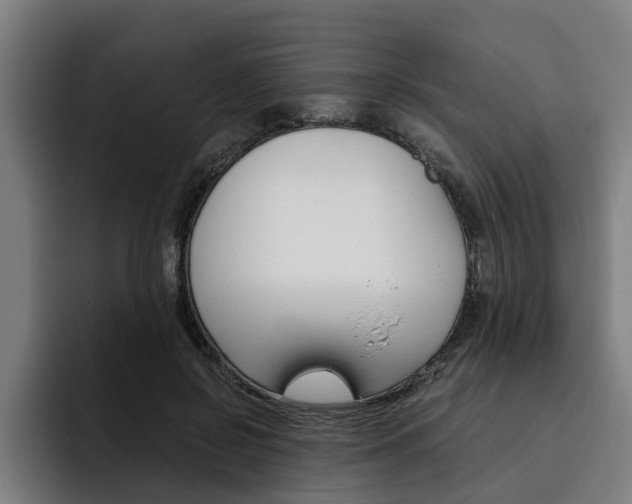 X0000093490550200710121015