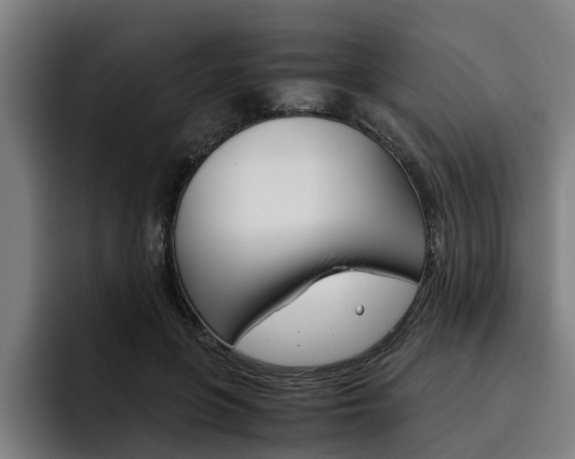 X0000093490551200710121015