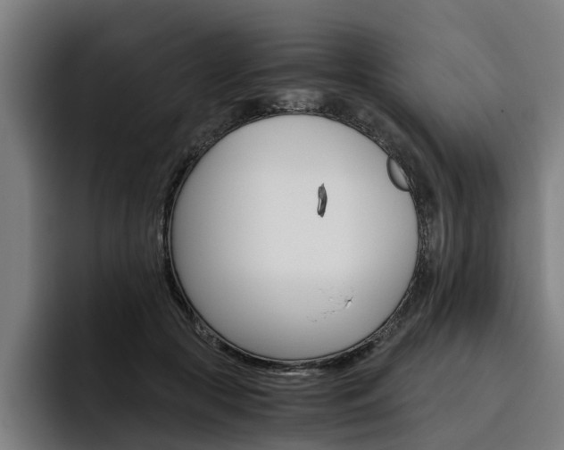 X0000093490553200710121015