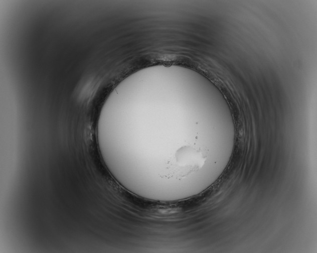 X0000093490555200710121015